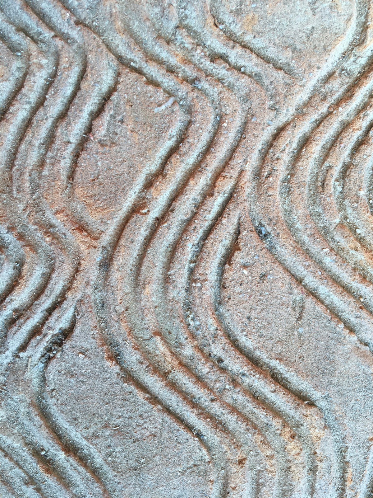 Activités de l&rsquo;été