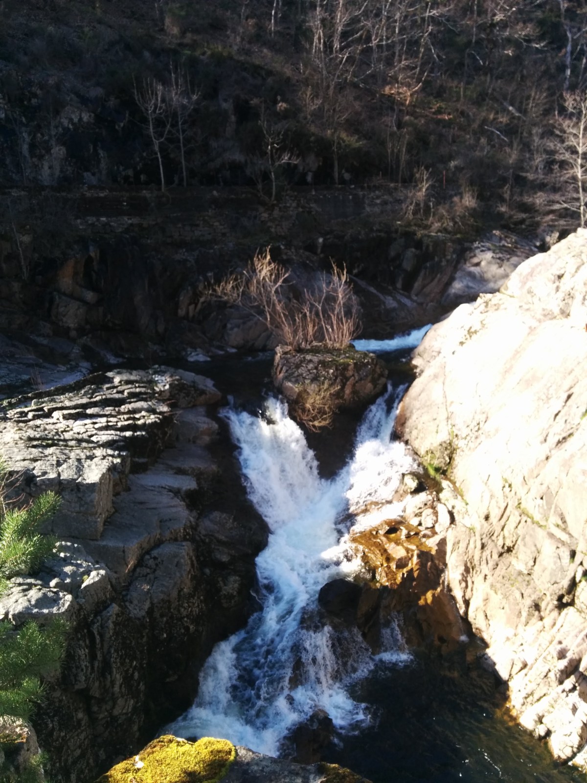 Balade du Saut de la&nbsp;Saule