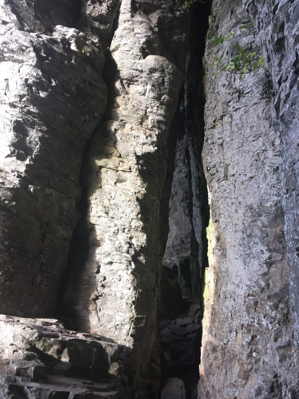 Balade découverte nature des&nbsp;Orgues